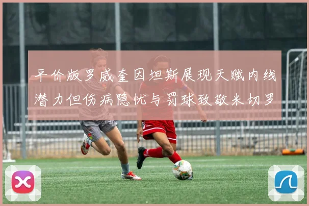 平价版罗威奎因坦斯展现天赋内线潜力但伤病隐忧与罚球致敬米切罗