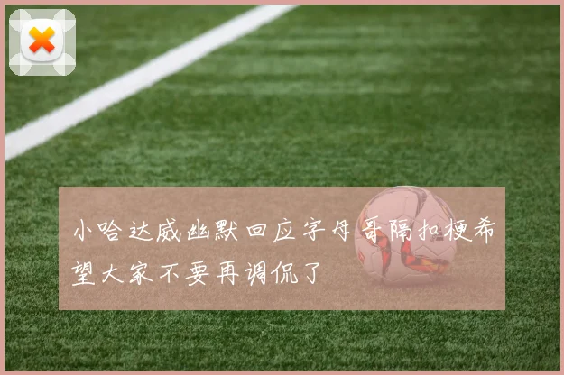 小哈达威幽默回应字母哥隔扣梗希望大家不要再调侃了