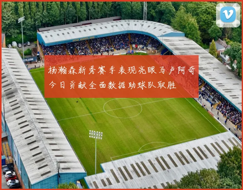 杨瀚森新秀赛季表现亮眼马卢阿奇今日贡献全面数据助球队取胜