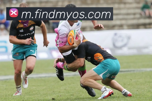 对战数据统计